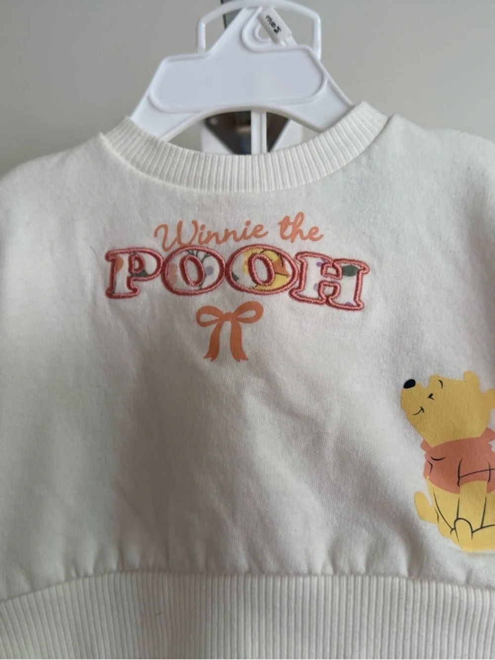 Disney Winnie the Pooh Outfit